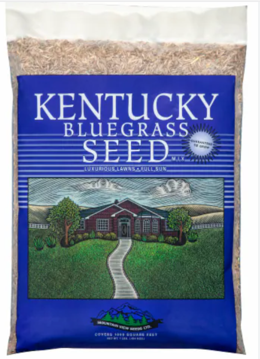 Kentucky Bluegrass Seed 1LBS
