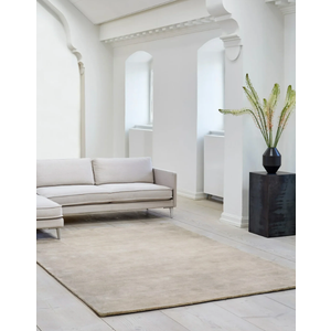 Brown Rug 32x57 Inches