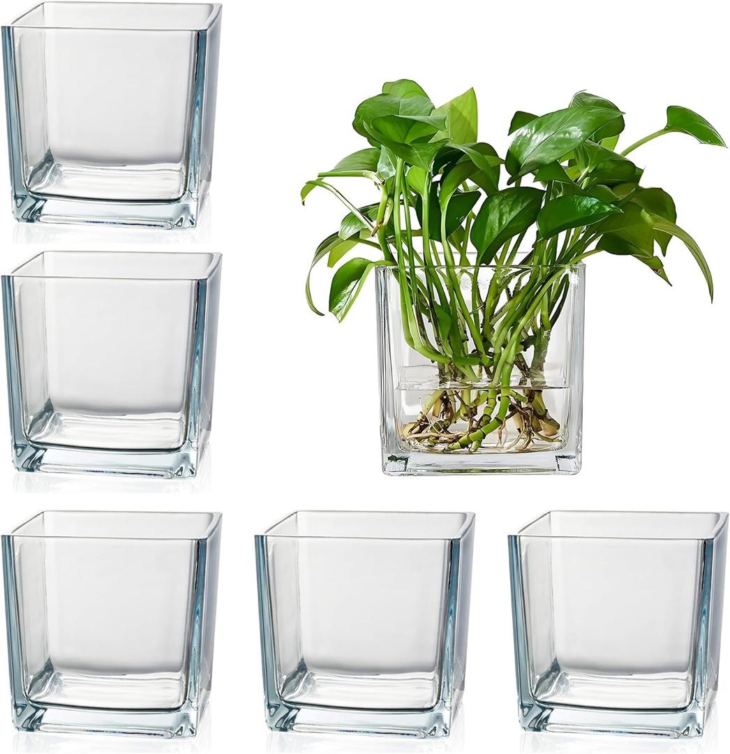 Set of 6 Square Glass Vases for Centerpieces 4" x 4" x 4" Clear Short Vases, Flower Vase, Plant Terrariums, or Candle Holders for Wedding Centerpieces, Office Decor, Home Dcor, Parties
