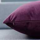 JUSPURBET Velvet Pillow Covers Set of 2 Decorative Throw Pillow Covers for Couch Sofa Bed Soft Cushion Covers Cases with Hidden Zipper for Living Room Home Decor 18x18 inch,Eggplant Purple