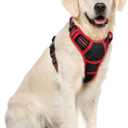 rabbitgoo Dog Harness No Pull with 2 Leash Clips, Adjustable Soft Padded, Reflective Oxford No Choke Pet Vest with Easy Control Handle for Large Dogs, Black & Red, XL