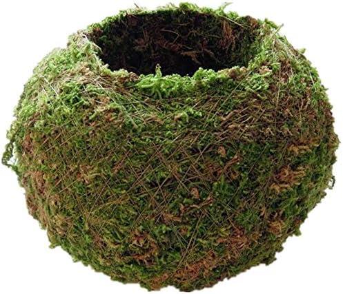 Moss Ball Flower Pot Natural Planter Bonsai Plant Holder Bird Nest for DIY Gardening Home Table Decoration - 9cm