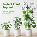 2 Pack 30 Inch Taller Plant Trellis for Potted Climbing Plants Indoor,Expandable Metal Garden Trellis for Climbing Plants,Flowers Vine Ivy, Sturdy Houseplant Support for Potted Plants with Ties
