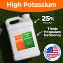 Simple Lawn Solutions - High Potassium Lawn Food Liquid Fertilizer 0-0-25 - Concentrated Spray - Turf Grass Vigor and Plant Hardiness - Summer and Fall - Any Grass Type (2.5 Gallon) (EXP 12/31/33)