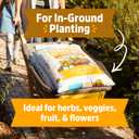 Back to The Roots 25.7qt (1 Cubic ft) Organic Premium Blend Garden Soil