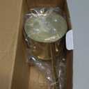 Stainless Steel Water Can for Indoor Plants and Garden (Gold 15 oz)