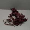 Birtlynn Preserved Dried Eucalyptus Greenery Stems, 20+ Pcs 16 inches Natural Long Lasting Eucalyptus Bundles for Vase Arrangements Home Decoration Photo Props Parties and Weddings, DIY Décor-Red