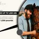 Horse Paste 1.87%  Apple Flavored Wormer  6.08g Tube  Treats Up to 1250 lb (EXP 10/31/27)