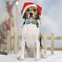 Christmas Dog Collar with Bow Tie - Cute Green Christmas Santa Dog Collars, Adjustable Heavy-Duty Winter Holiday Bowtie Collar for Small Medium Large Boy Girl Dogs XL