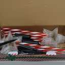 12 Pack Christmas Decorations Outdoor, Twinkling Big Star Solar Christmas Lights with 180 Bright LED and 10 Lighting Modes, Warm White Waterproof Xmas Decor for Pathway Yard