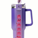 Manna Valentines™ Atlas Tumbler Stainless Steel - Purple Ombre