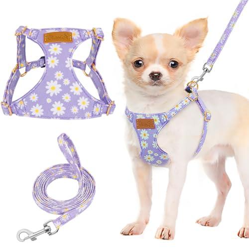 Lukovee Puppy Harness and Leash Set, No Pull Lightweight Soft Suede Adjustable Pet Harness Vest with Snap Buckle for Puppy Dog (Purple-XS)