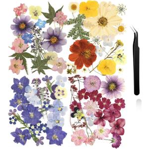 Nuanchu Pressed Flowers Bulk Dried Flower for Crafts, Dried Wildflowers Leave Natural with Tweezer for Resin Mold Scrapbooking Nail Soap Making DIY(Fashion Style,Trend Color)