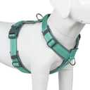 Plutus Pet No Pull Dog Harness, Adjustable Nylon Harness with Soft Padding, Reflective and Heavy Duty Dog Harness for Small, Medium, Large Dogs(Teal, L)