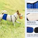 Mkono Male Dog Belly Band Wraps Washable Dog Diapers Male for Small and Medium Dogs, Waist 14.2 Inches to 20 Inches(3 Pack,Blue,White,Yellow)