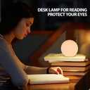 6 Inch Ball Table Lamp with Glass Shade, Ball Light Bookshelf Lamp for Bedroom, Dorm, Office and Bedroom Bookshelf Reading Decoration, Without Bulb