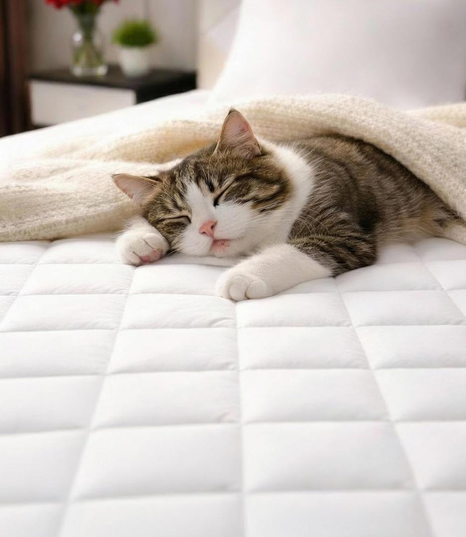 Quilted Fitted Mattress Pad Protector Queen Size - Elastic Fitted Mattress Topper & Cover - Breathable, Soft, Low Profile Top Cover with 8-16 Inch Deep Pockets - Easy-Fit & Machine Washable - White