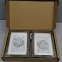 5x7 Shadow Box Frame Small Shadow Box Display Case 4 Pack Walnut Picture Frame Glass Surface Internal Depth 0.6 inch for Wall Or Tabletop