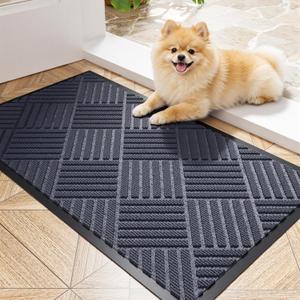 Front Door Mat 29.5x17, Heavy Duty Non-Slip Indoor Outdoor Doormat