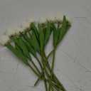Tanvecle 9pcs White Artificial Tulip Flowers, Silk Fake Flowers 13" for Mother's Day, Easter, Valentine’s Day Gifts in Bulk, Home, Kitchen, Wedding Decorations