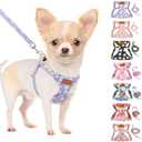 SlowTon Dog Harness Small Sized Dog - Soft XXS Dog Harness and Leash Set No Pull No Chock, Adjustable Lightweight Puppy Harness for XS Small Dogs Cats (Purple Dasiy, XXS)