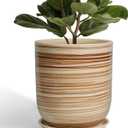 Ceramic Planter 10 Inch - Ceramic Pots for Indoor Plants Outdoor Large Plant Pot with Drainage Hole and Saucer Cylinder Flower Pot Yellow