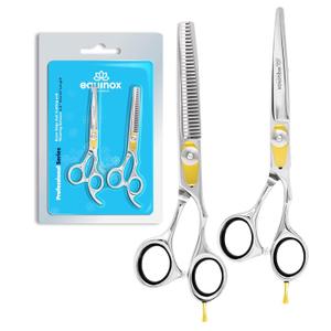 Equinox Professional Razor Edge Hair Cutting/Thinning Scissor Set/2, 6.5" (Silver Black Thinning)