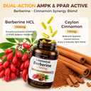 GREENPEOPLE Liposomal Berberine Supplement with Ceylon Cinnamon - Berberine HCL 1300mg 10X High Absorption - AMPK & PPAR Activator for Metabolic & Digestive & Immune Balance - Non-GMO 60 Veg Capsules