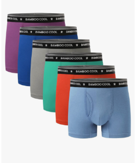 BAMBOO COOL Boys' Underwear Moisture-Wicking Brethable Boxer Briefs Soft Lightweight Tag-Free with Fly Pouch 6-Pack, Large