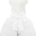 Dog Dress Wedding Outfits, Princess Lace Tutu Strappy Skirt for Female Puppy Small Medium Dogs Girl Cats Costume (Embroidery Dress, Large)