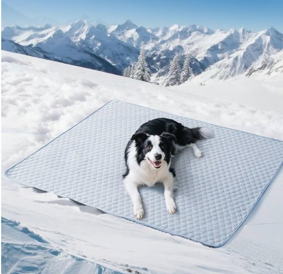 Soulbond Cooling Mat for Large Dogs - 50"x60" Washable Cooling Pad for Puppy, QMAX>0.3, Anti-Slip Bottom, Portable Summer Pet Cool Kennel Bed Pad for Outdoor/Indoor/Cars/Travel Use, Aqua Green