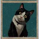 Bathroom Wall Decor Black And White Cat Metal Sign Funny Quote Are You Pooping Humorous Restroom Art For Lovers 8 x 12 Inch Kitchen Vintage Home 