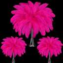 Maitys 90 Pcs Large Natural Ostrich Feathers Bulk 14-16 Inch (35-40cm) 12-14 Inch (30-35cm) 10-12 (25-30cm) Ostrich Feathers Plumes for Centerpieces Wedding (Fuchsia)