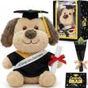 Hollowfly Graduation Dog Gifts Set Include Graduation Dog of 2026 Stuffed Animal with Cap and Gown, Artificial Flower, Graduate Gift Box with Window and Greeting Card for Him or Her(Black, Gold)