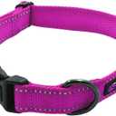 Max and Neo NEO Nylon Buckle Reflective Dog Collar - We Donate a Collar to a Dog Rescue for Every Collar Sold (Large, Pink)