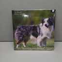 Border Collies Calendar 2018: 16 Month Calendar