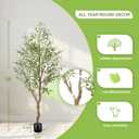 FEELEAD 6FT Faux Olive Tree, Large Olive Trees Artificial Indoor with Natural Wood Trunk & Lifelike Leaves, Tall Artificial Olive Tree with Pot for Home Office Living Room Decor