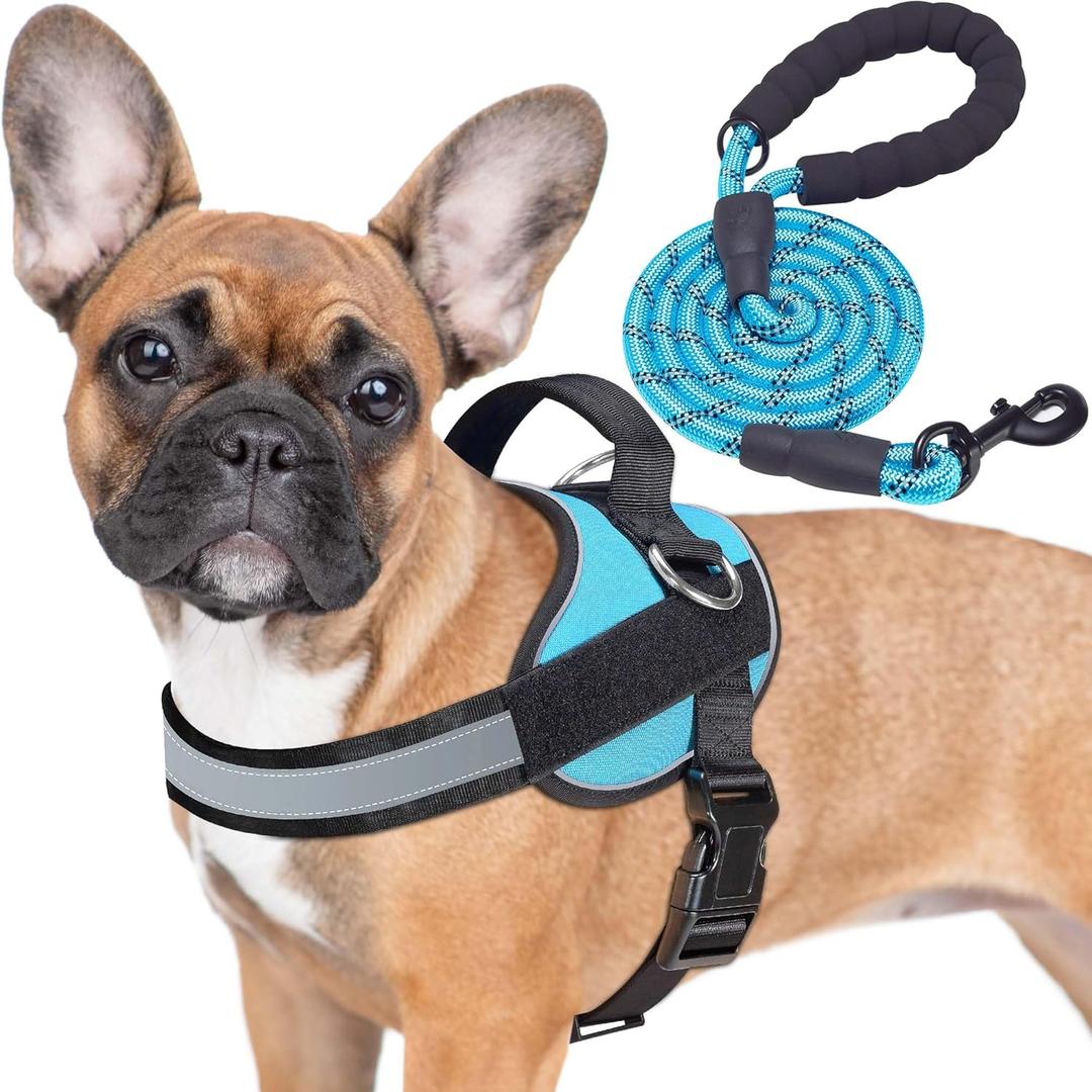 Haapaw Essential Dog Harness, No Pull Pet Vest with 3 Leash Clips, No Choke, Reflective, Adjustable and Padded, for Easy Walking and Training for Small Dogs (Medium, Blue)