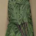 Alupssuc 18 Inch Norfolk Pine Stems, 12 Pcs Real Touch Norfolk Pine Branch, Christmas Greenery Stems for Vase DIY/Garland Making/Table Decoration, Christmas Decoration for Indoor, Outdoor & Home