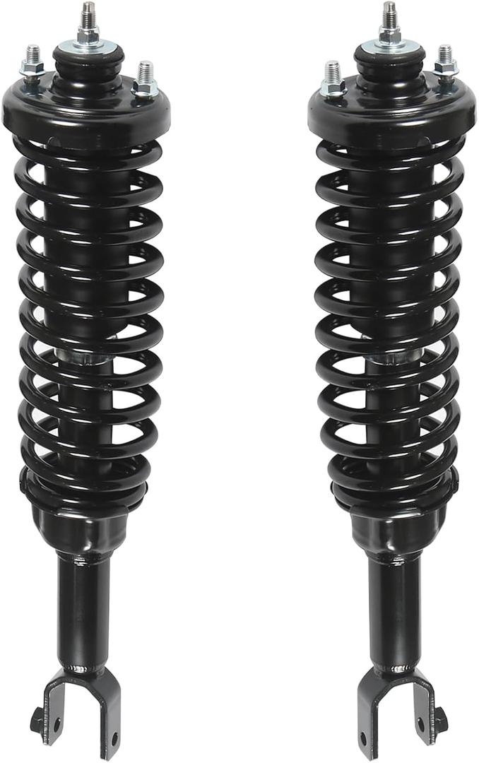 Pair Rear Struts Shock Absorbers Assembly Fit for Honda Civic 1996-2000, for Acura EL 1997-2000 Direct Fit 171292
