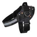 Joyride Basic Essential Dog Harness 1.0 - Small, Medium, Large Dogs, No-Pull Pet Vest with 3 Side Rings for Leash Placement, Adjustable for Training (Fall Stars, S)