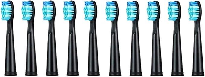 Universal toothbrush head 10 PCS