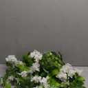 2.2/1.8M Artificial Eucalyptus Leaves Garland Green Willow Vines Plants for Wedding Home Party Arch Wall Garden DIY Decoration (Color : White)