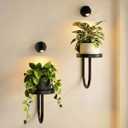 Wall Plant Holder for Indoor Plants with Lights, 2 Pcs Black