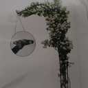 Garden Arch