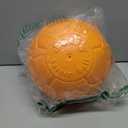 Jolly Pets Large Soccer Ball Floating-Bouncing Dog Toy, 8 inch Diameter, Orange