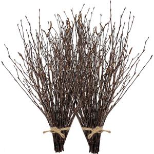 17 Inch Natural Birch Branches Dried Birch Twigs Wreath Making Supplies Dried Plants for Rustic Home Decor Easter Stems Vase Filler DIY Crafts Vases Tall Wreath Christmas Decoration Wedding (100Pcs)