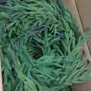 Jutom two piece 15 ft Christmas Norfolk pine Garland realistic artificial Faux greenery cedar Garland for mentally holiday indoor outdoor fireplace winter Christmas decoration