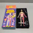 Dan&Darci Human Anatomy Squishy Body Model - Science Kits for Kids Ages 4-8 - STEM Toys for 4 5 6 7 8 Year Old Boy Birthday Gift - Learning Educational Toys for Ages 5-7 Boys Gifts - Skeleton Parts