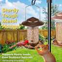 iBorn Bird Feeder Metal Squirrel Chew Proof Bird Feeders for Outdoors Hanging Outside for Cardinal, Holds 1.5LB Seed with 3 Perchs, Brushed Coffee (Seed is not Included)